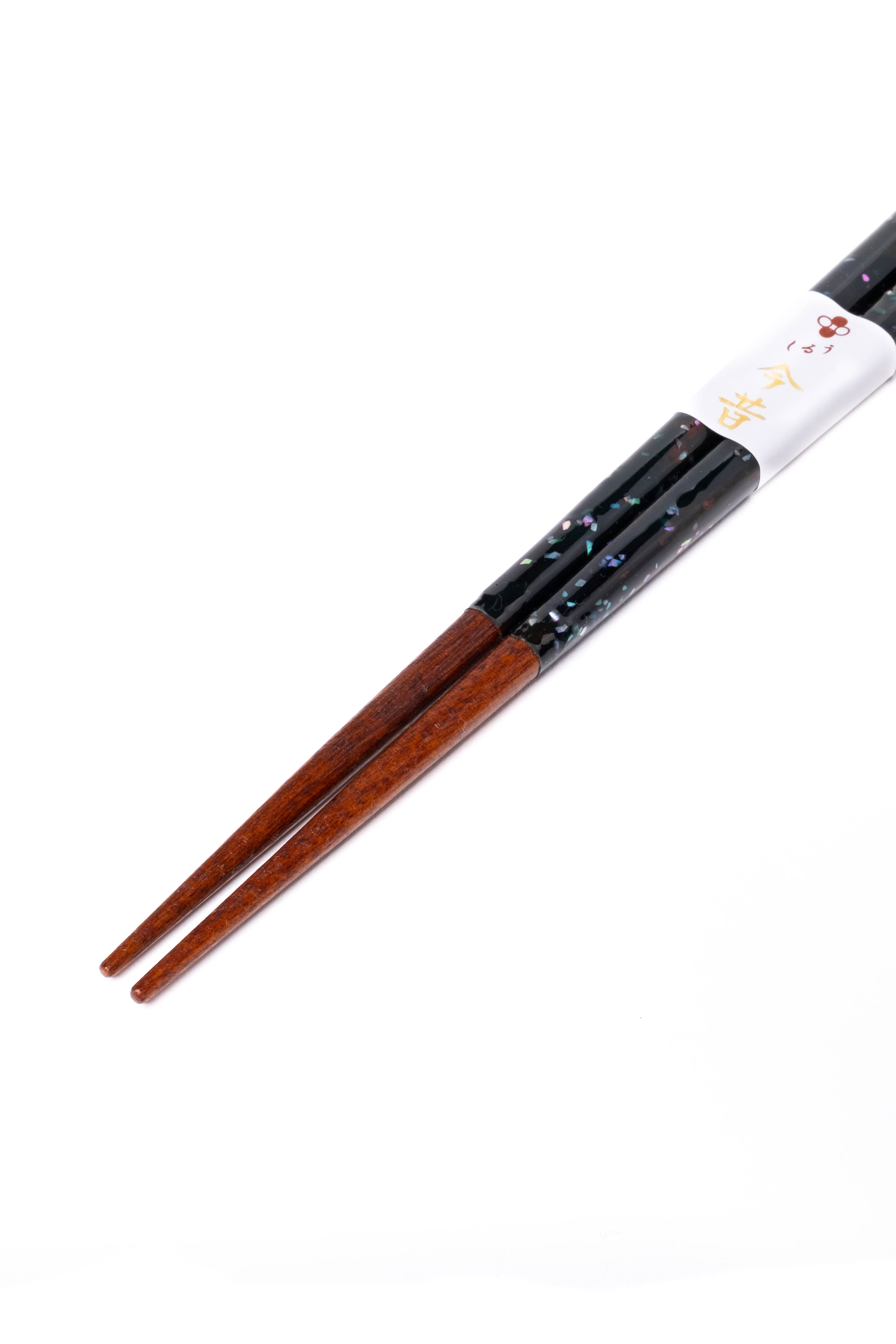 Gwieździsta galaktyka pałeczki Wakasa-nuri 23 cm